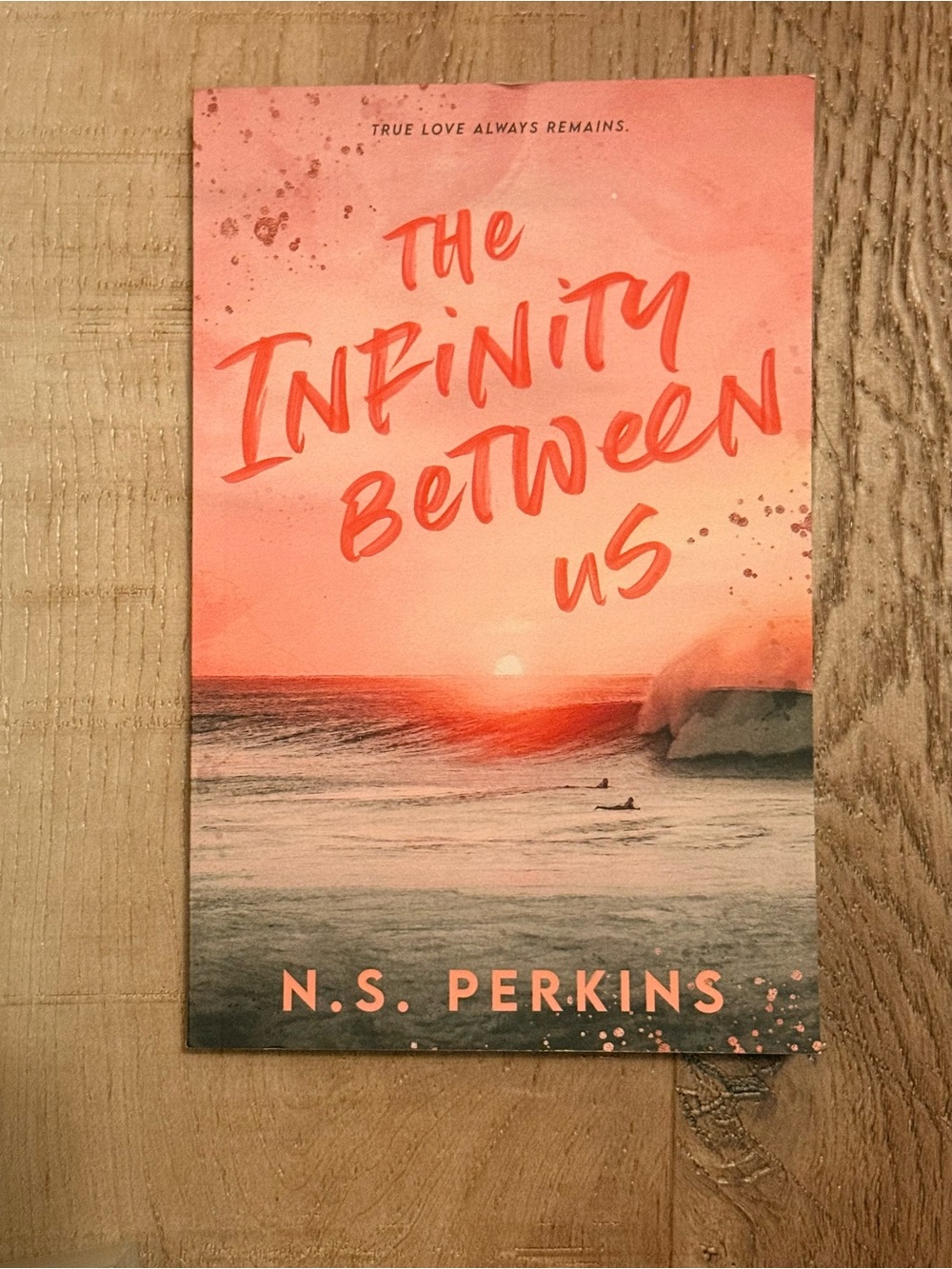 The Infinity Between Us - N.S. Perkins